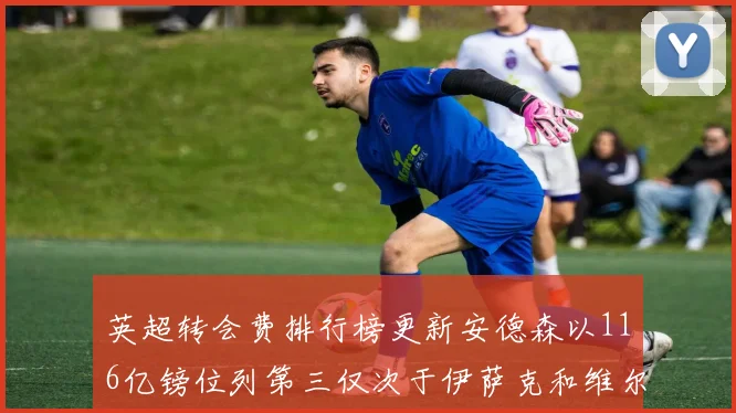 英超转会费排行榜更新安德森以116亿镑位列第三仅次于伊萨克和维尔茨