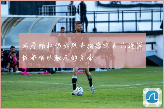 老詹隔扣仍如风夸梅感叹自己连篮板都难以触及的无奈